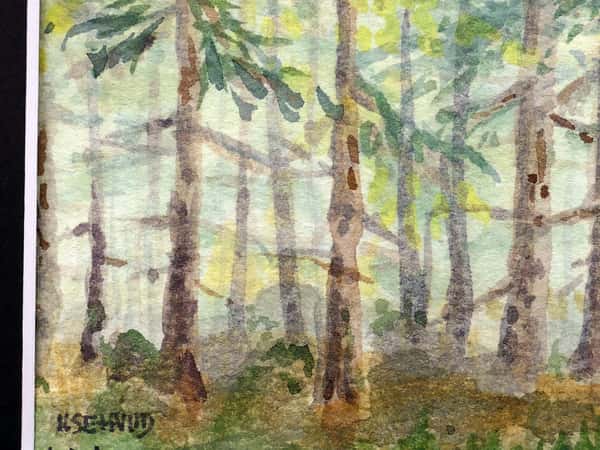 Akvarell original i svart passepartout. Skogsgläntan