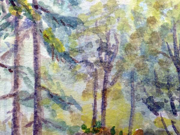 Akvarell original i svart passepartout. Skogsgläntan