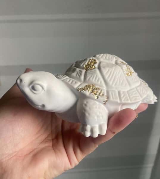 Sköldpadda i stengips