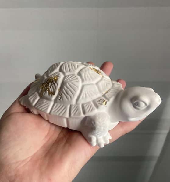 Sköldpadda i stengips