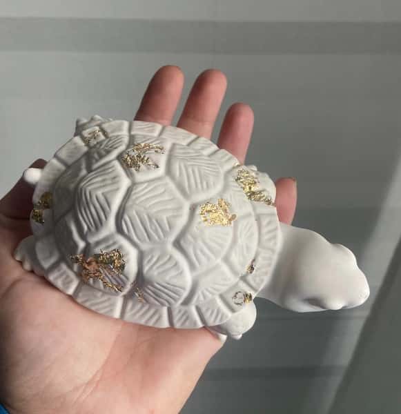 Sköldpadda i stengips