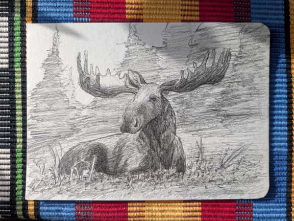 Älg i skog - Teckning - A5