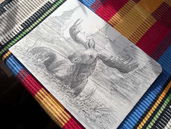 Älg i skog - Teckning - A5