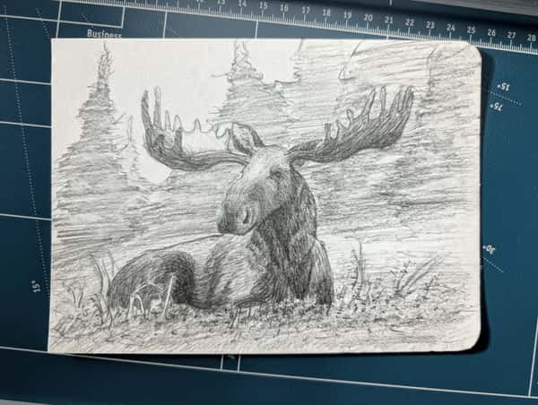 Älg i skog - Teckning - A5