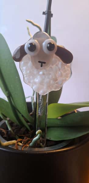 Shawnee the Sheep – Växtpinne i sammansmält glas