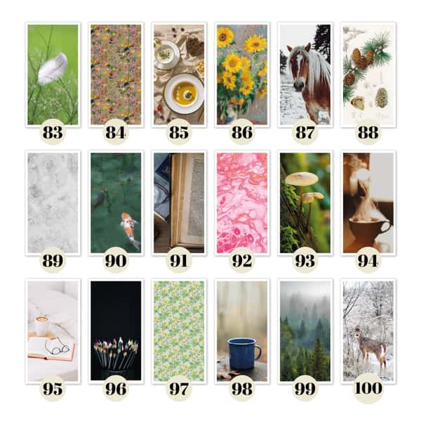 Månadskalender med 103 omslag att välja mellan. Häftad Traveler's notebooks insert. Regular/standard storlek.