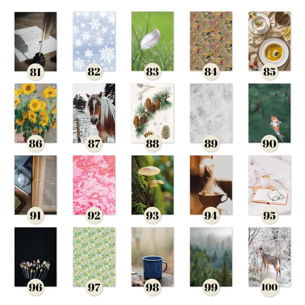 Månadskalender B6 med 103 omslag att välja mellan. Häftad Traveler's notebooks insert i storlek B6.