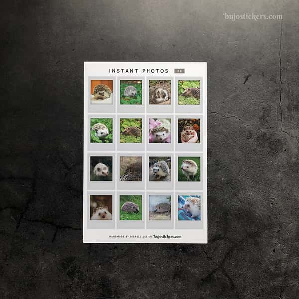 Stickers – Igelkottar – Instant photos 26