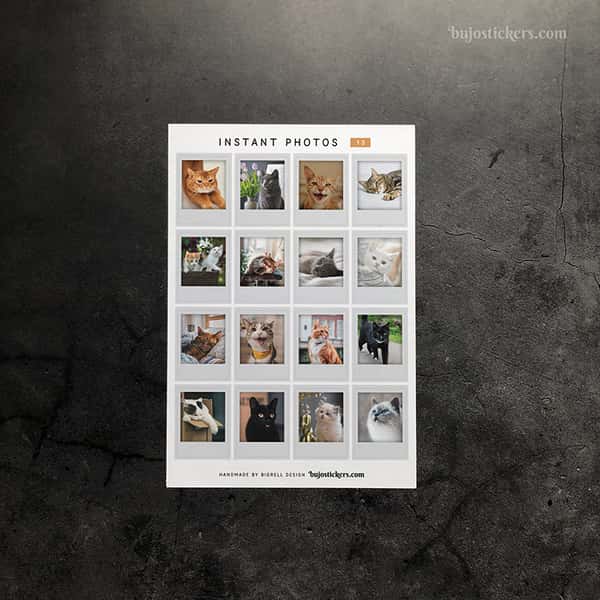 Stickers – Katter – Instant photos 13