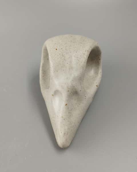 Fågelskalle i keramik