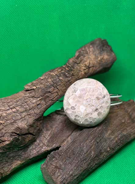 Armband med gotlands fossil