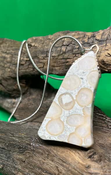 Halsband med fossil