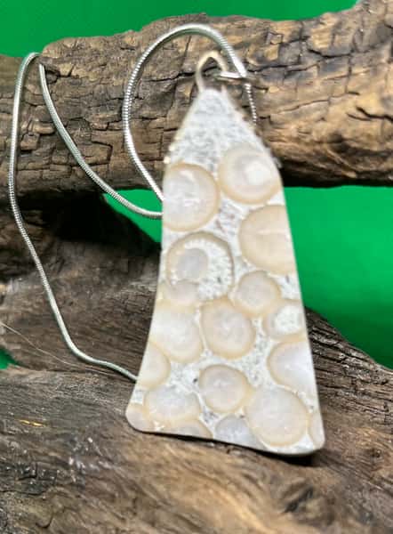 Halsband med fossil