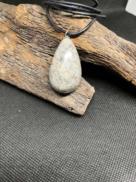 Halsband i fossil