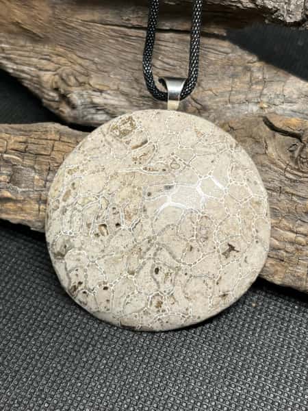 Halsband med fossil