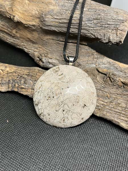 Halsband med fossil