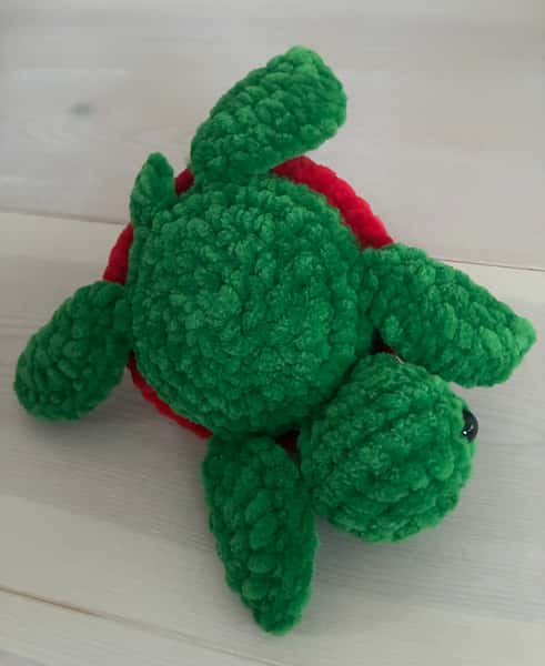 Mjukisdjur, sköldpadda