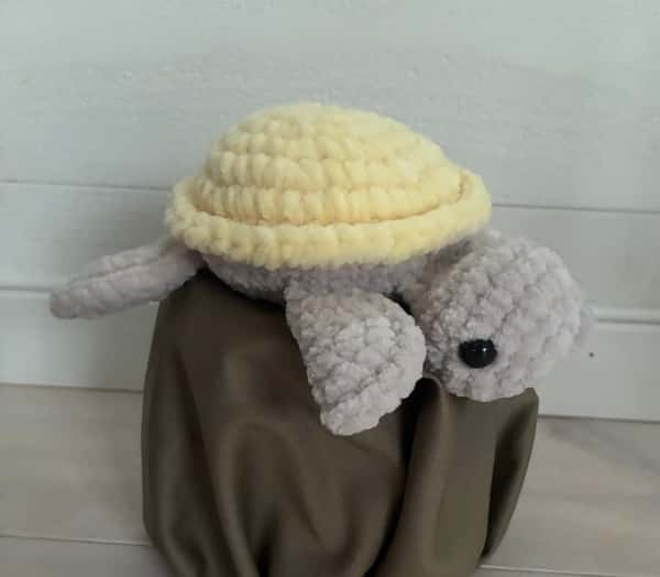 Virkad sköldpadda, gul