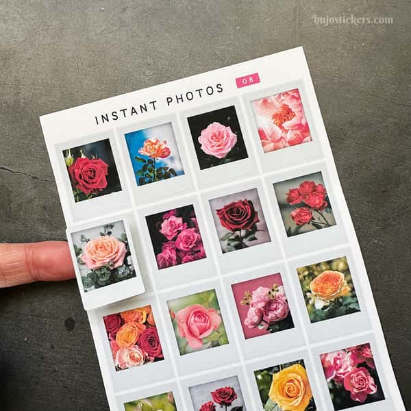 Stickers – Rosbilder – Instant photos 08