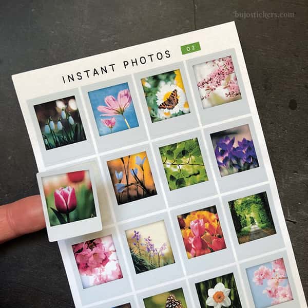 Stickers – Bilder av blommor mm – Instant photos 08