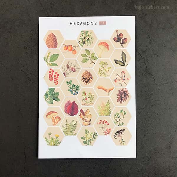 Stickers – Löv, kottar, svampar och kvistar i hexagoner