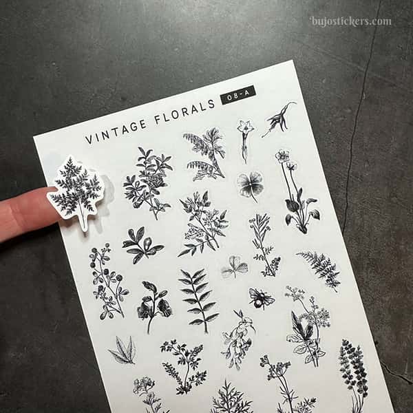 Stickers – Svartvita illustrationer av växter och plantor