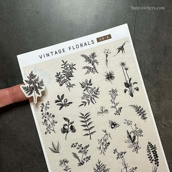 Stickers – Svartvita illustrationer av växter och plantor