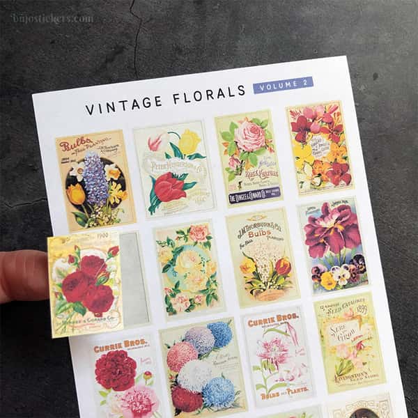 Stickers – Vintage blommor och frökataloger