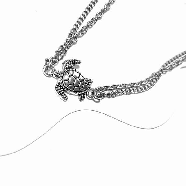 Fotlänk med sköldpadda länk