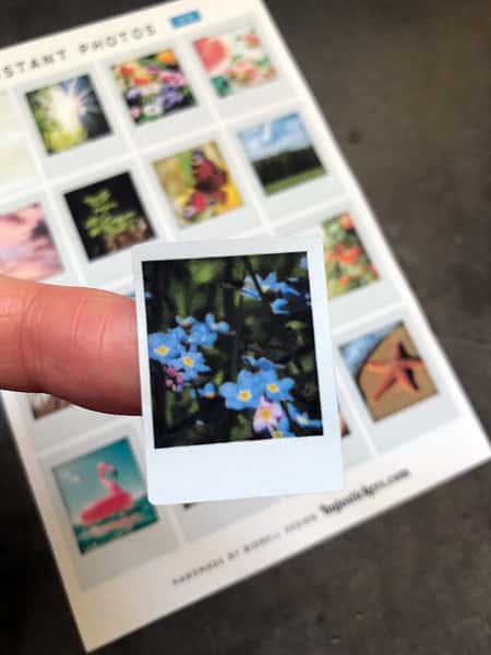Stickers – Sommarbilder – Instant photos 03