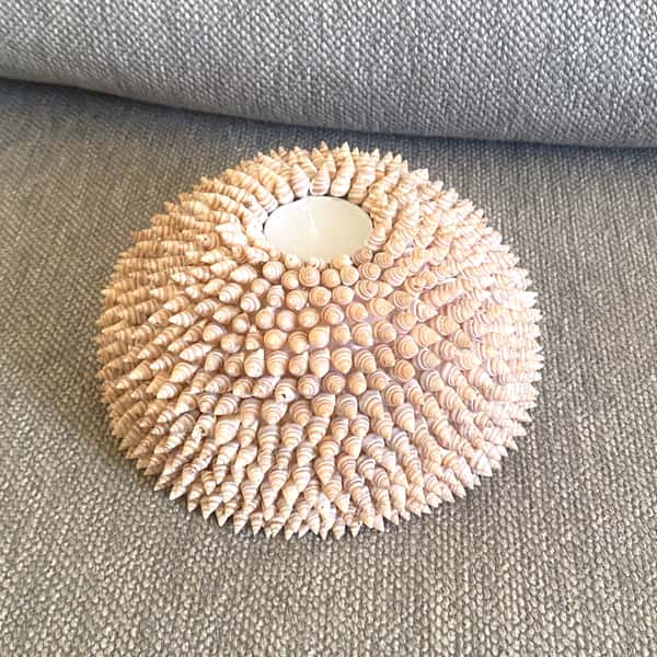 Ljuslykta med snäckor