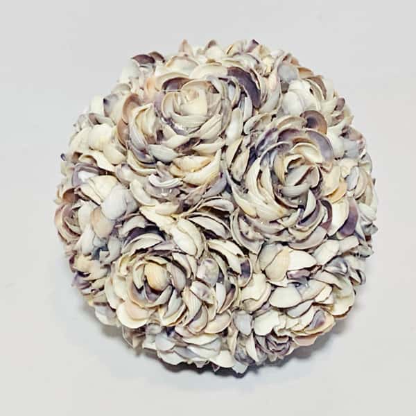 Inrednings dekoration av snäckor.