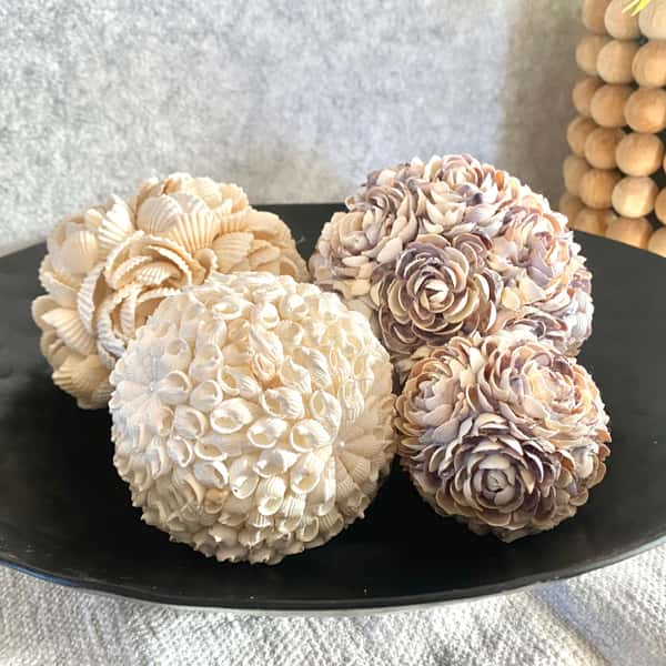 Inrednings dekoration av  snäckor