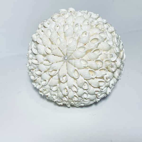 Inrednings dekoration av snäckor