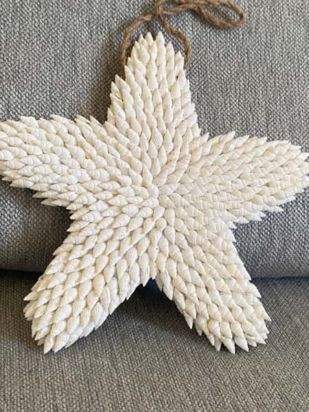 Vägg dekoration sjöstjärna i snäckor