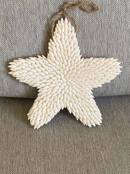 Vägg dekoration sjöstjärna i snäckor