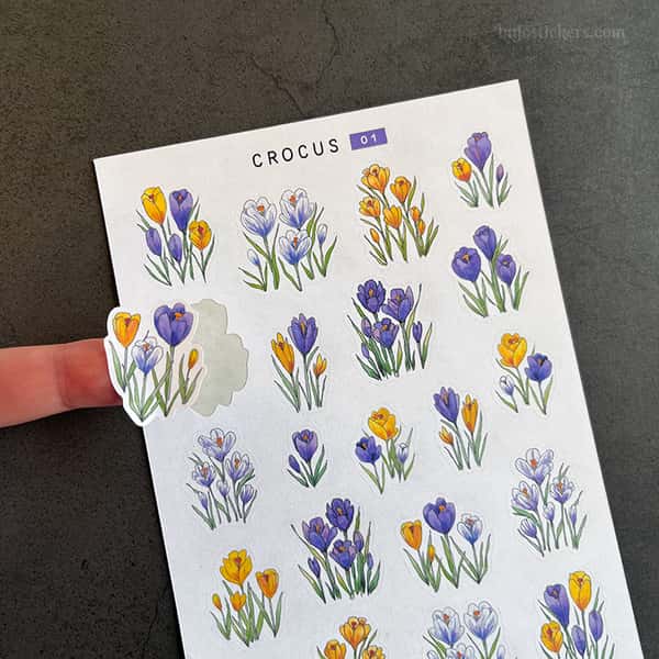 Stickers – Krokus