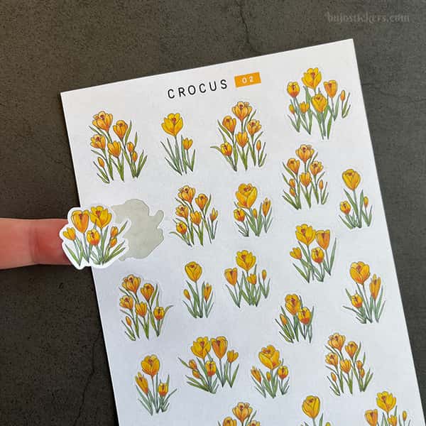 Stickers – Gula krokus