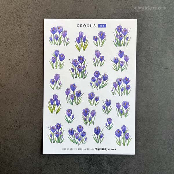 Stickers – Lila krokus