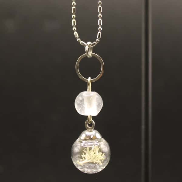 Glashänge med renlav