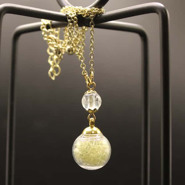 Glashänge med skägglav