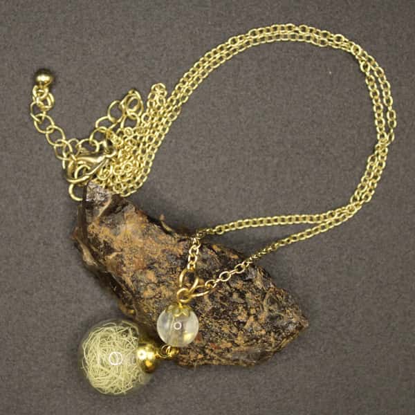 Glashänge med skägglav