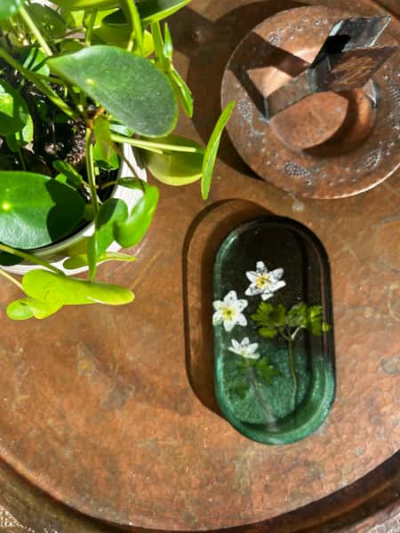 Sippor - trinket tray