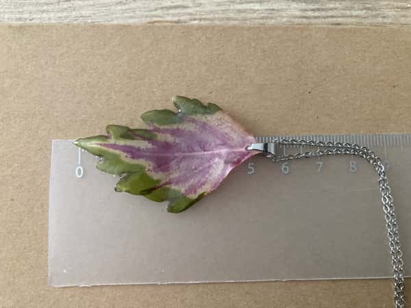 Halsband PALETTBLAD 2